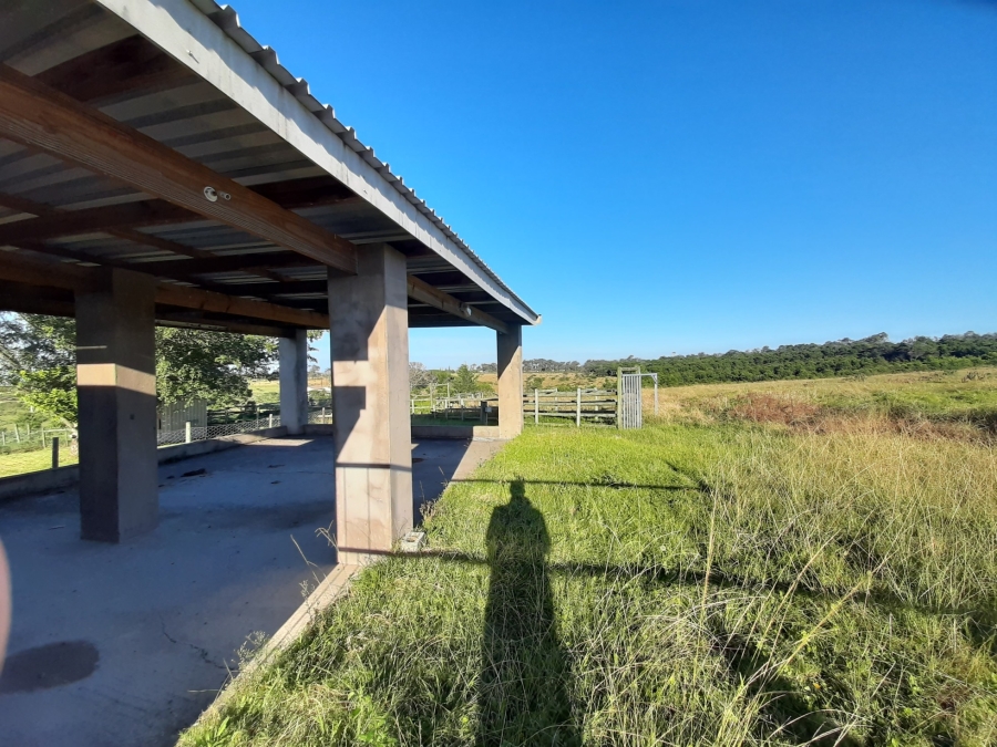 10 Bedroom Property for Sale in Cove Ridge East Eastern Cape